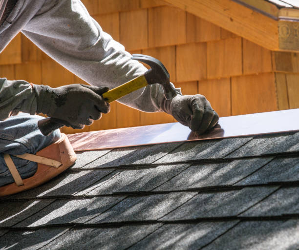Best Roof Gutter Cleaning  in The Village, OK